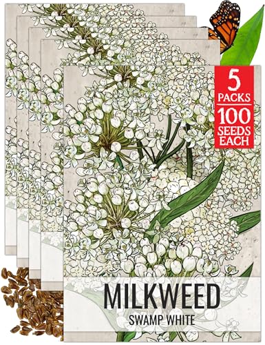 Image of Seed Needs White Swamp Milkweed Seeds for Monarch Butterflies 5 Packs