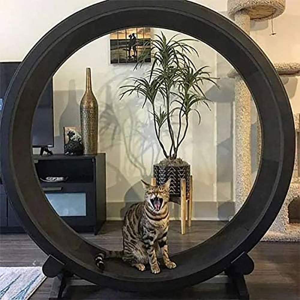 Fvi7y 7p0fnrim Fvi7y 7p0fnrim