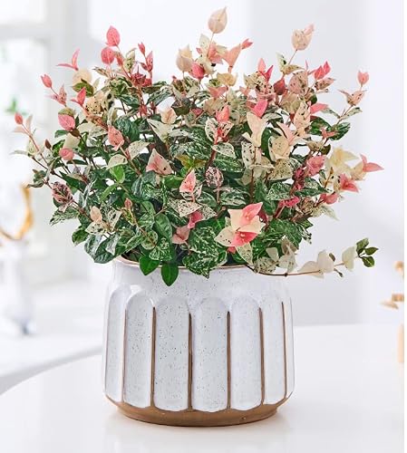 Tenvy Ceramic Planter Pot Set Of 2, 8 Inch And 6 Inch (7.8” + 6.2”) Large Planter-Pots For Indoor Outdoor Plants, Cylindrical Succulent Planter, Modern Flower Pot, Speckled White #TOP7