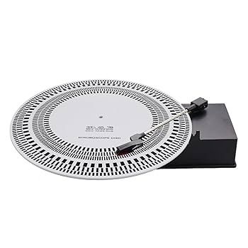 PHILHARMONIC TURNTABLE ORCHESTRA アナログ The Philharmonic Turntable Orchestra - メルカリ