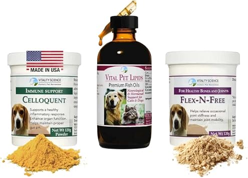 Senior Dog Protocol Small