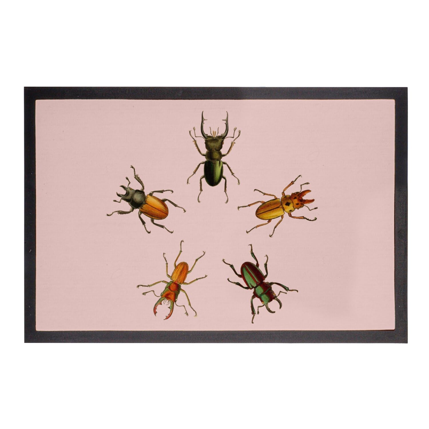 Paillasson rose insectes pour entrée vintage grand tapis scarabées biologie 75x50