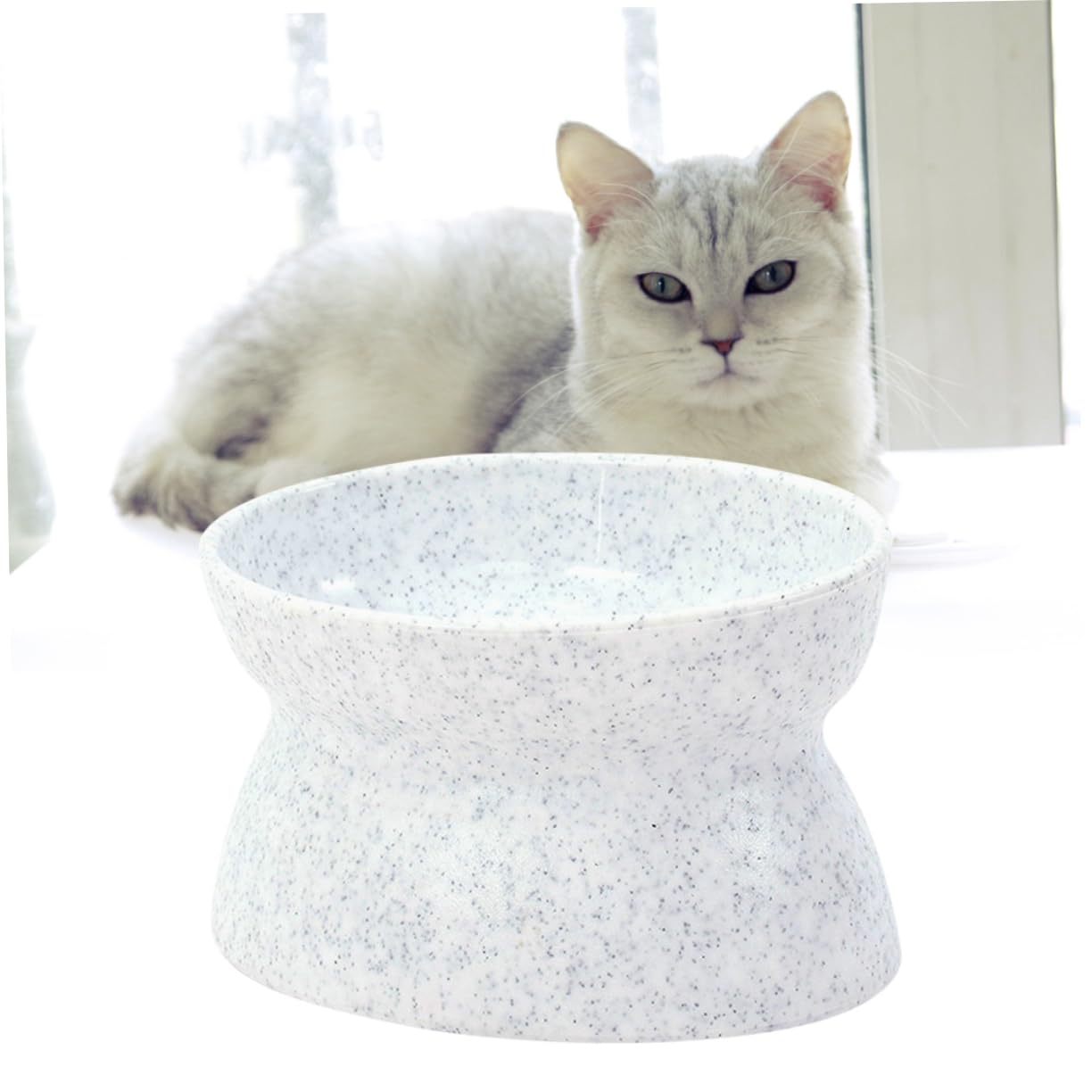 ibasenice Dual Use Non Slip Food Bowl for Cats and Dogs White Positive and Negative Design Tilted Marble Texture Easy to Clean Material Shallow Deep Capacity