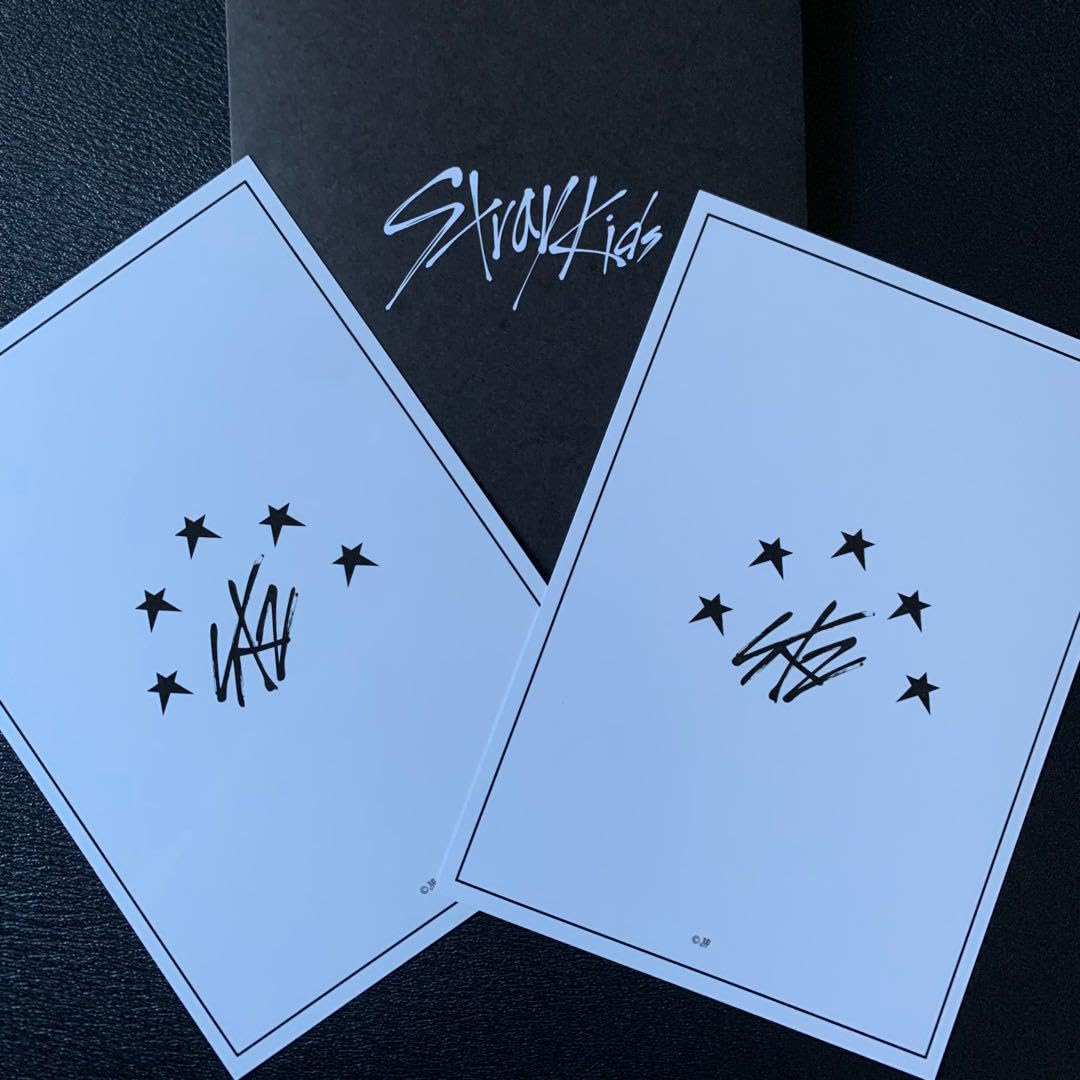 Amazon.co.jp: straykids スキズ ラントレ トレカ 5-STAR チャンビン