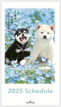 Amazon.co.jp: 日本ホールマーク 手帳 2025年 スリム マンスリー ほめ