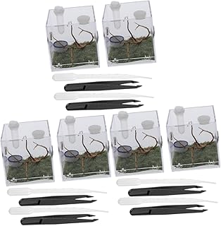 Ipetboom 6 Conjuntos De Aranha Terrário Reptivite Recipiente Transparente Para Caracol Suporte De Réptil Saltando Caixa De Aranha Caracol Terrário Tanque De Água Rastejar Acrílico Saltando