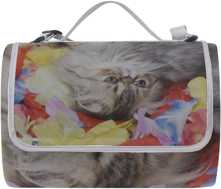 レジャーシート すばやい ペルシア猫 ピクニック 折りたたみ 撥水 アウトドア クッション マット コンパクト 花見 運動会 キャン