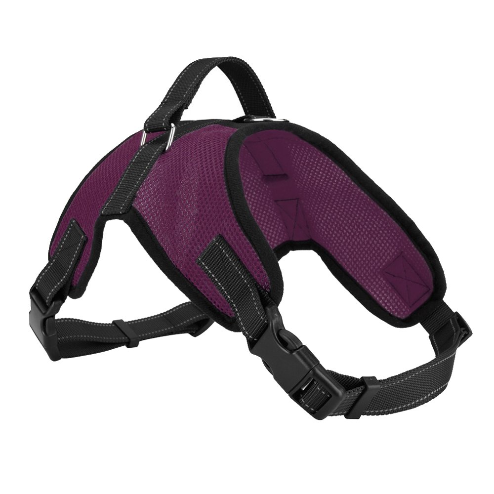 EizurAdjustable Dog Harness Vest - Soft, Breathable, Comfortable, Padded Bust Beam - Training / Walking Accessory