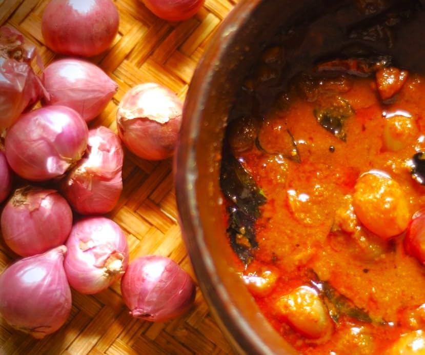 Miniatura 6 de TomorrowSeeds - Juegos de chalota Nero (Bulbs) - 4 libras - para semillas de siembra 2025 Hybrid F1 Round Traditional Echalote Cebolla Set Cebolleta