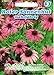 Produktbild Roter Sonnenhut (Portion) (Echinacea purpurea), mehrjährig