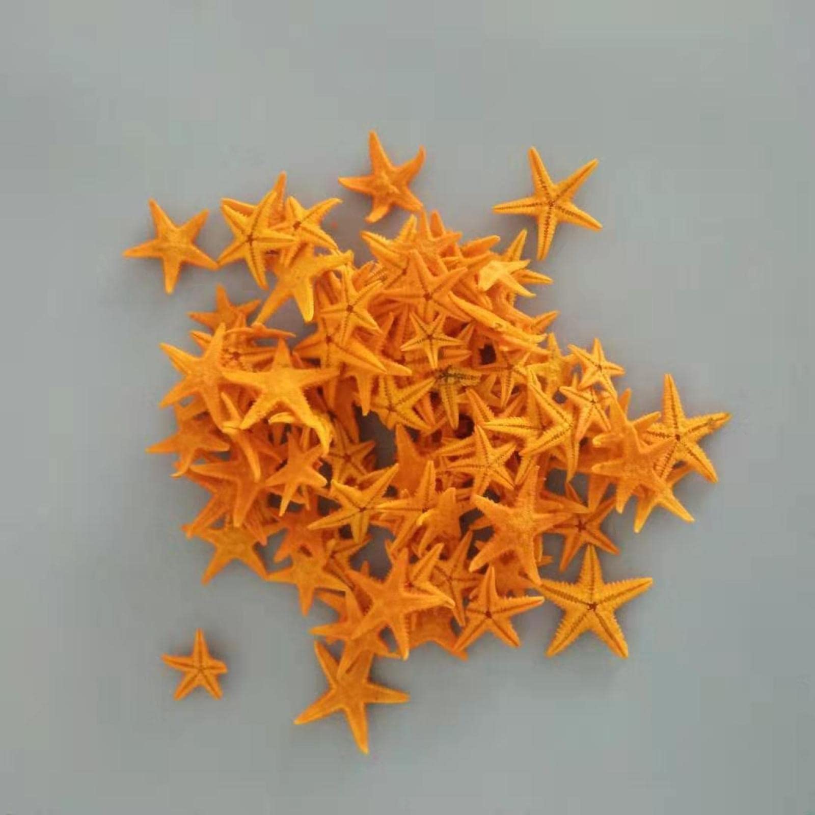 Coquillages de mer pour artisanat naturel et accessoires de mini étoile de mer orange
