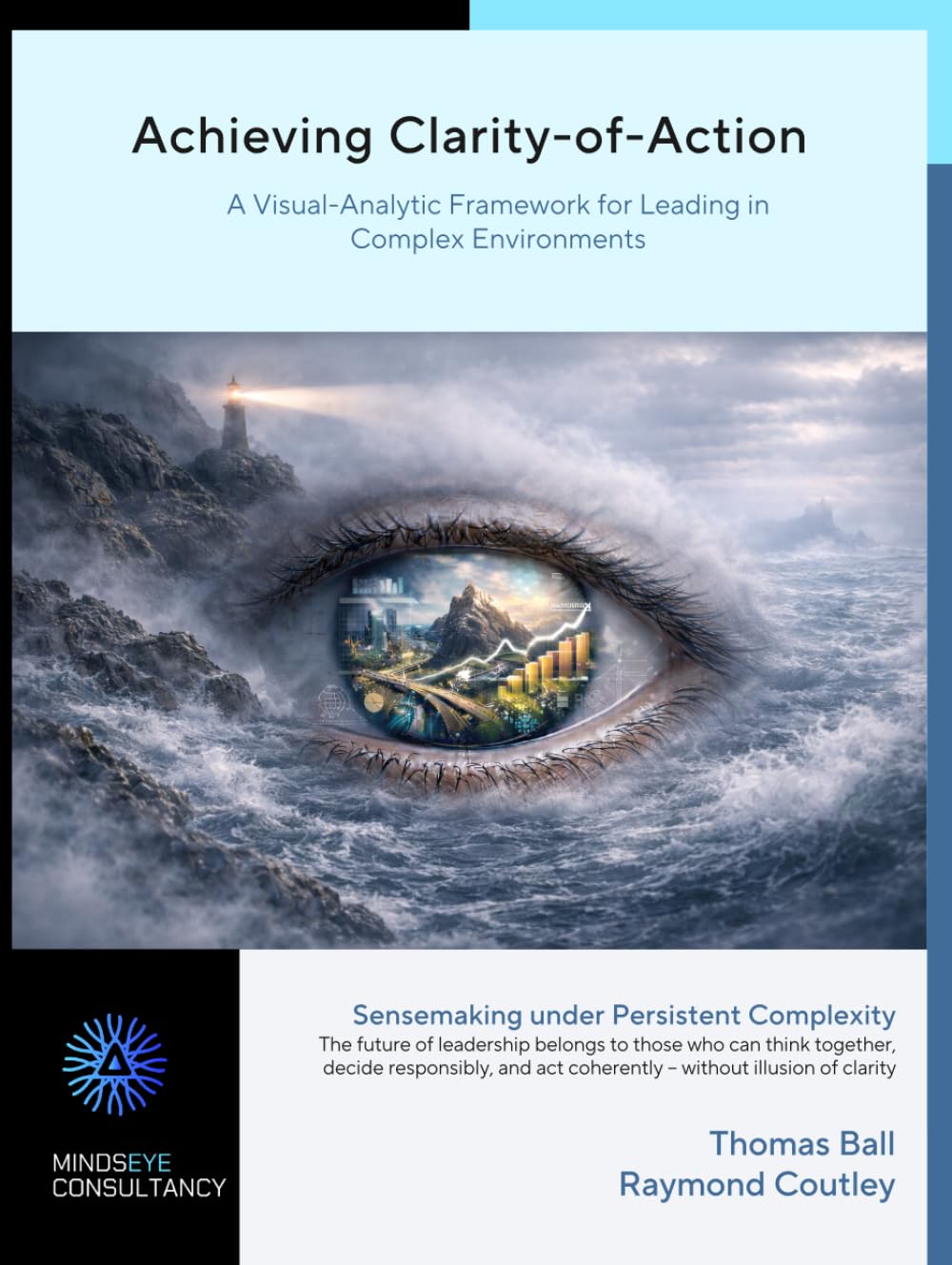 Achieving Clarity-of-Action: A Visual-Analytic Framework for Leading in Complex Environments