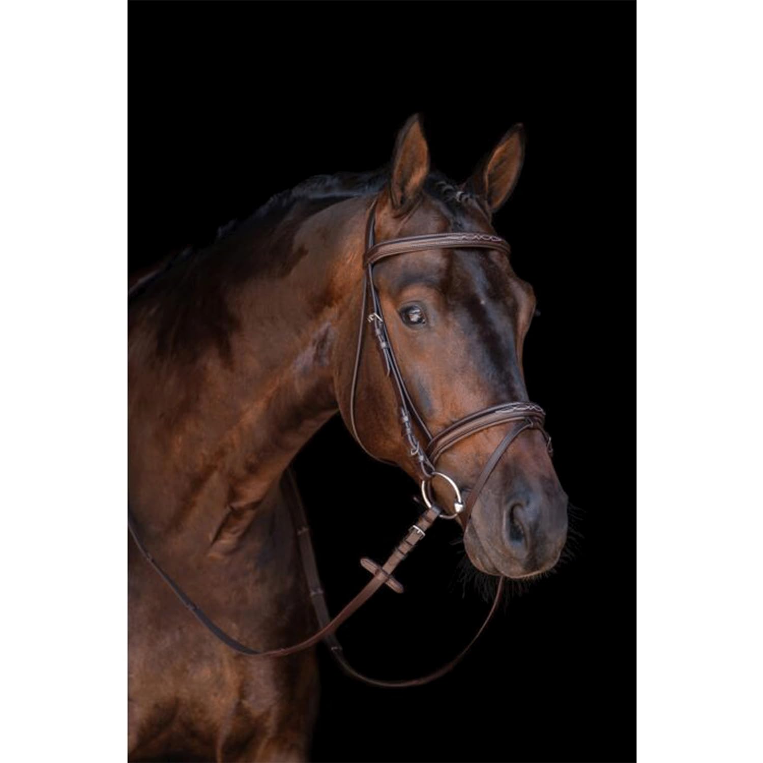 HKM Jana - Casco da Equitazione