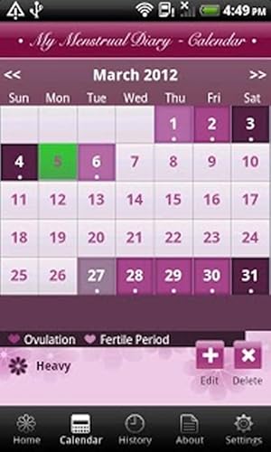 My Menstrual Diary