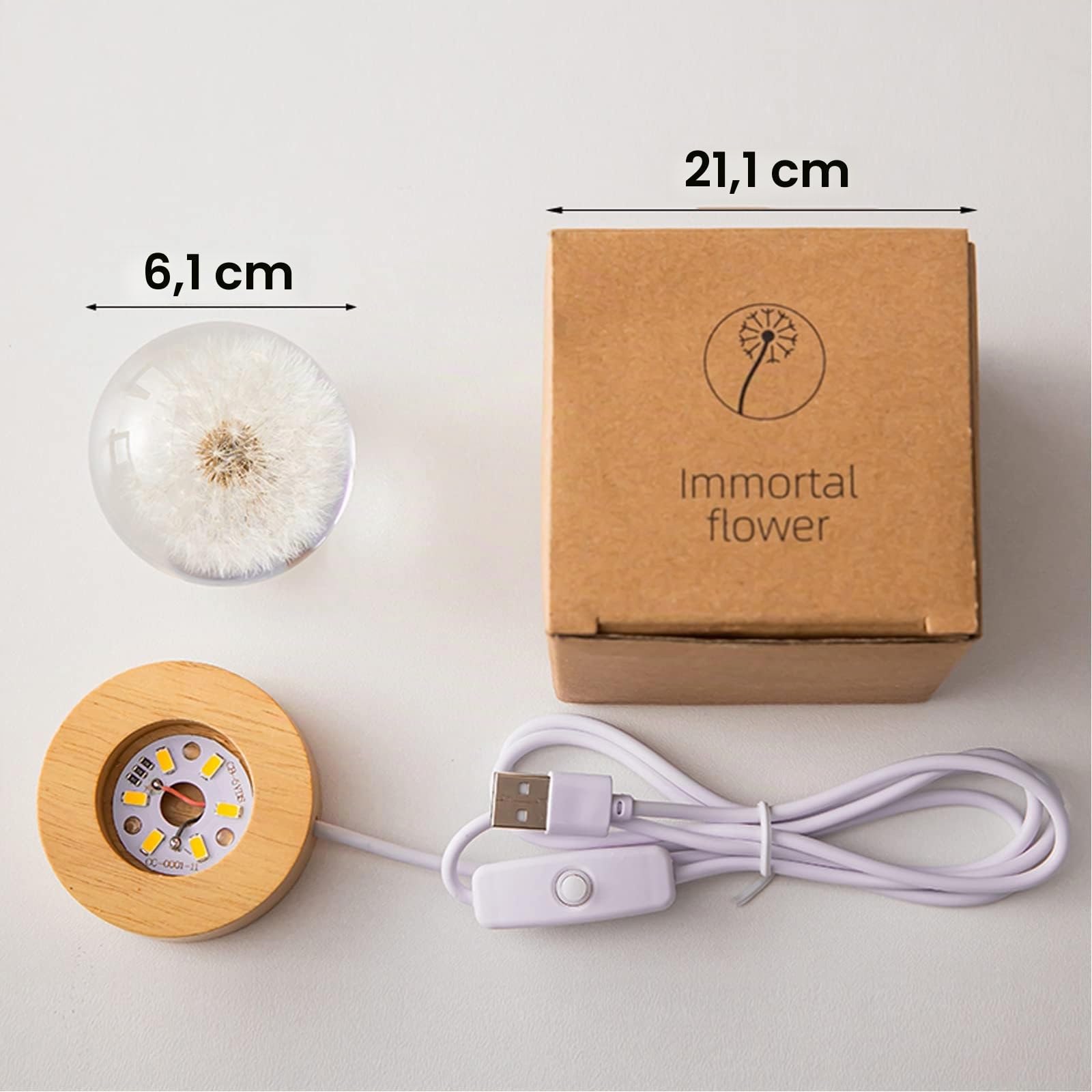 Pusteblume Blumen Kristallkugel Nachtlicht, 6 cm Glas Kugellampe mit Holzsockel, Dekorative LED Nachtlampe für Schlafzimmer & Wohnzimmer (Löwenzahn)