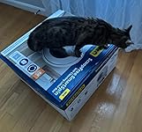 Review Image by Julia Julia