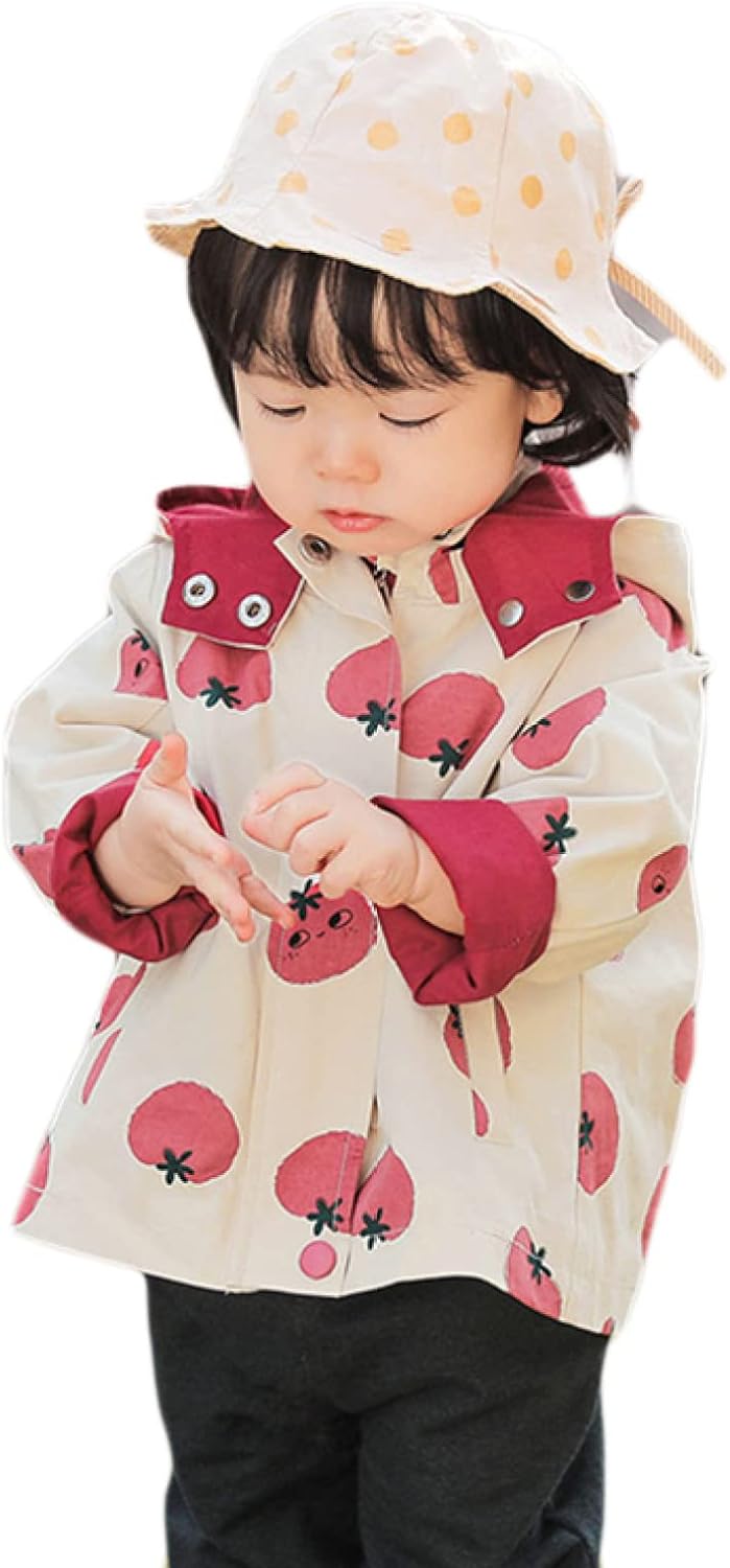 GUINOMI ヒノキ4個✖️gnu 漆塗り （桐箱含む） GUINOMIHINOKI - OLD