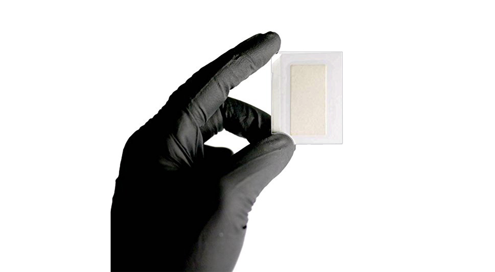 Amazon.com: Crime Scene Semen Detection Test Strips, Infidelity