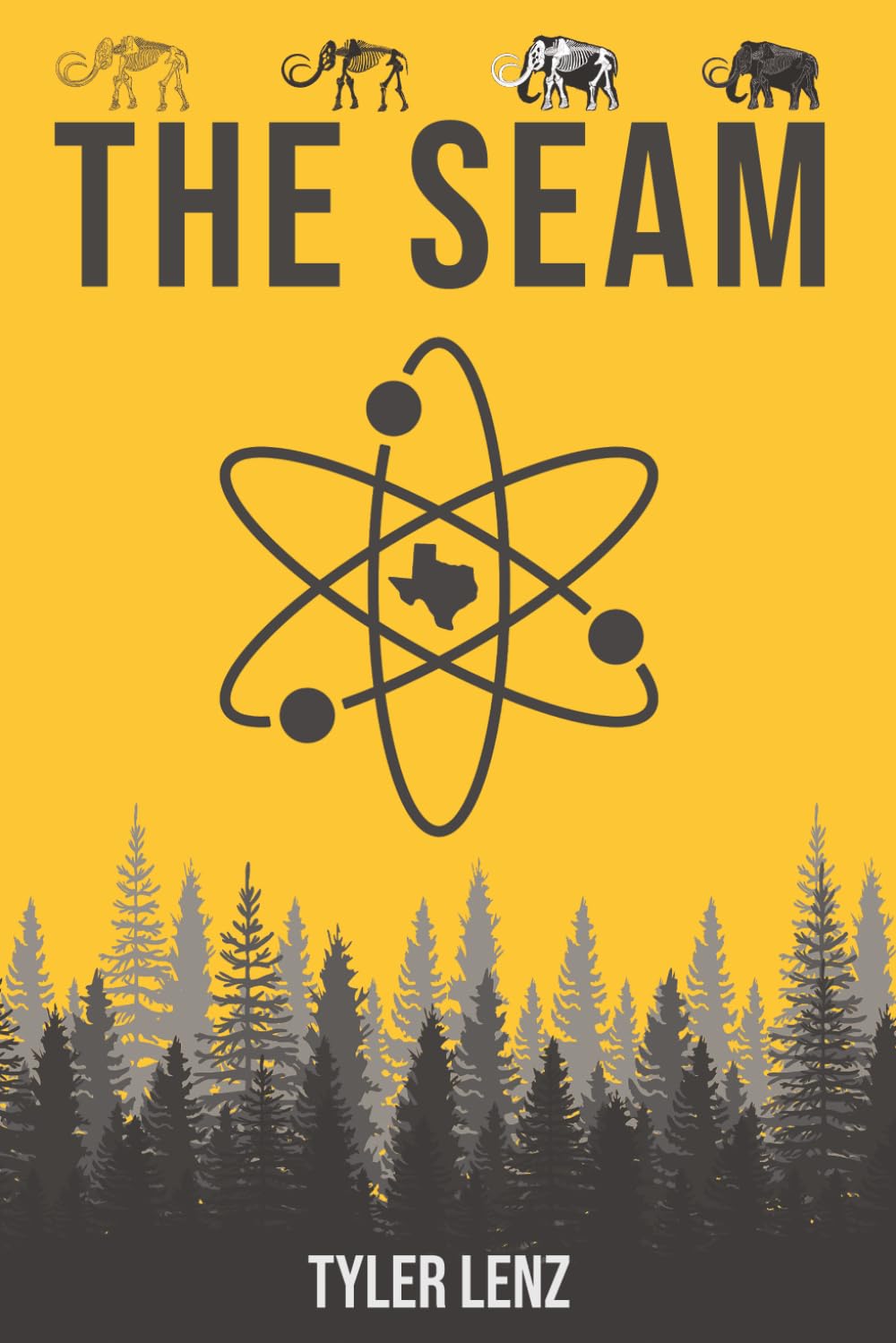 The Seam: Book One of 'Texas Accelerated'