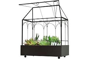 Sky Terrarium Tree of Life – A Flourishing Oasis Within Your Reach