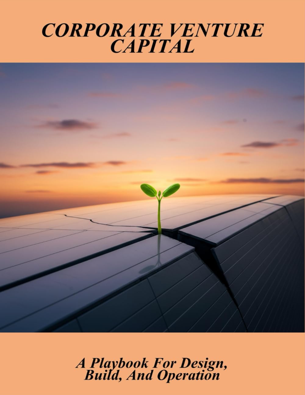 Corporate Venture Capital: A Playbook For Design, Build, And Operation