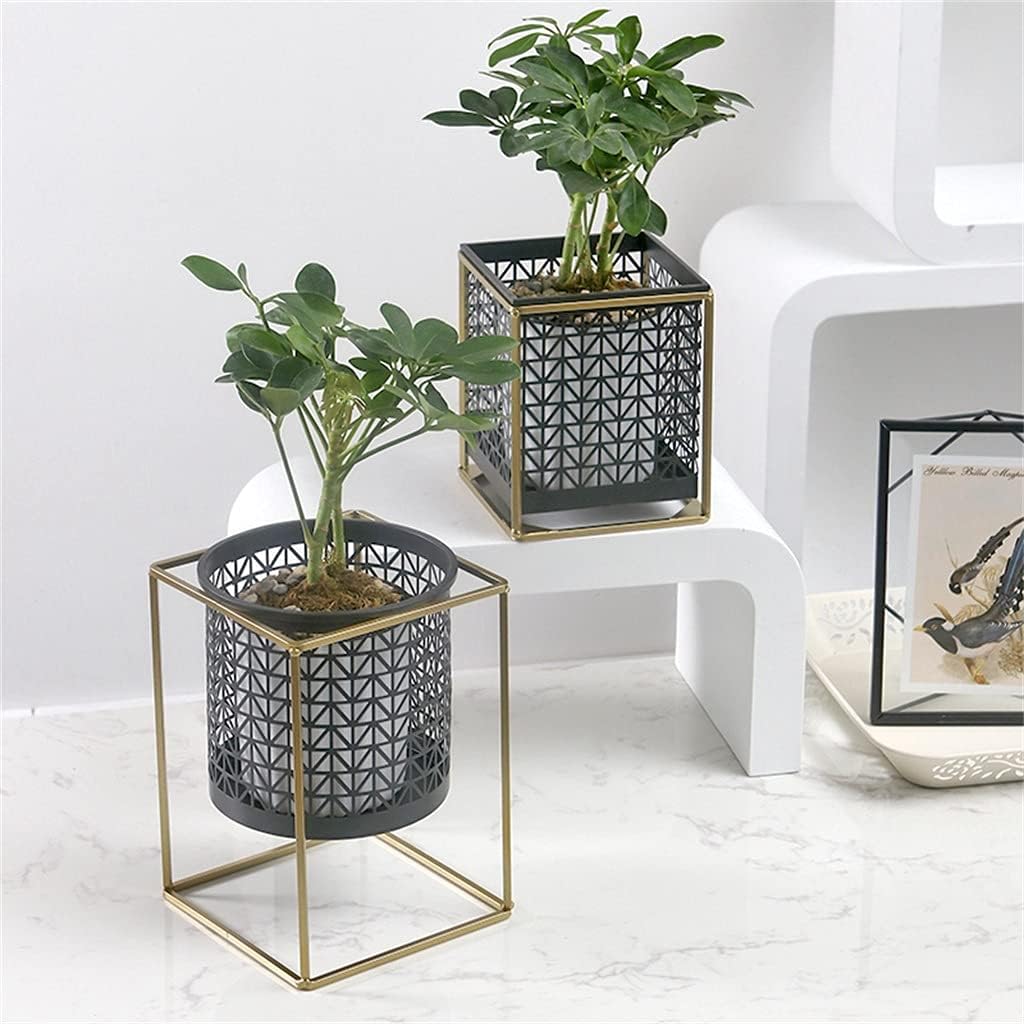 Nordic Light Flower Rack Gold Hollowed out Green Plant Metal Flower Rack Multi Flesh Creative(Golden,17*17*15.5CM)