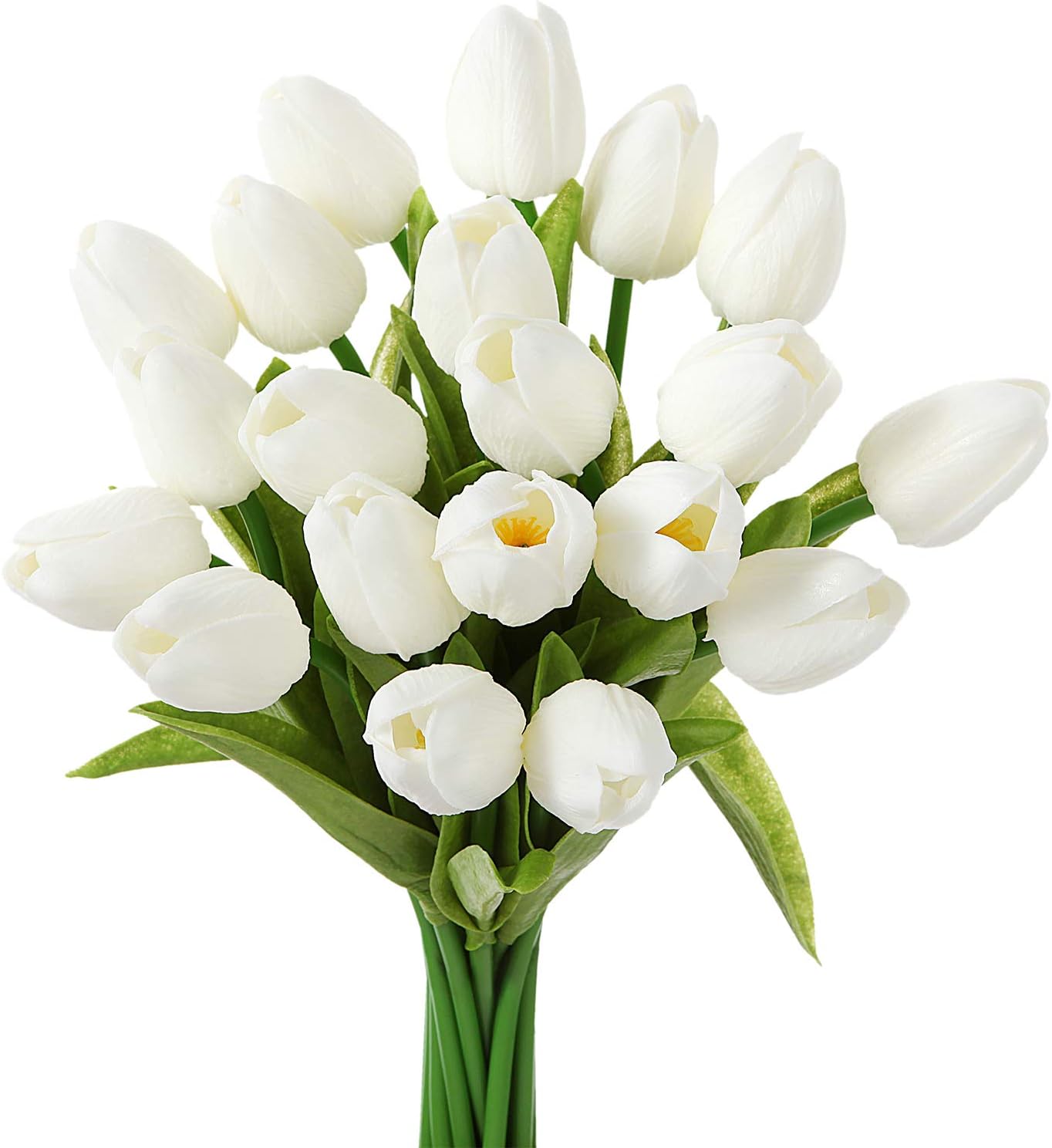 Tulips - 10 Pack