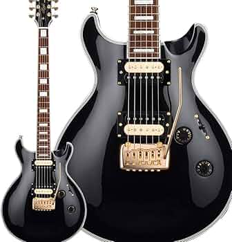 GrassRoots エレキギター ブラック GrassRoots G-SN-CTM/P See Thru Black エレキギター初心者14点