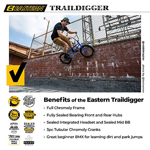 Eastern Bikes Eastern BMX Bikes – Element Model 20 Inch