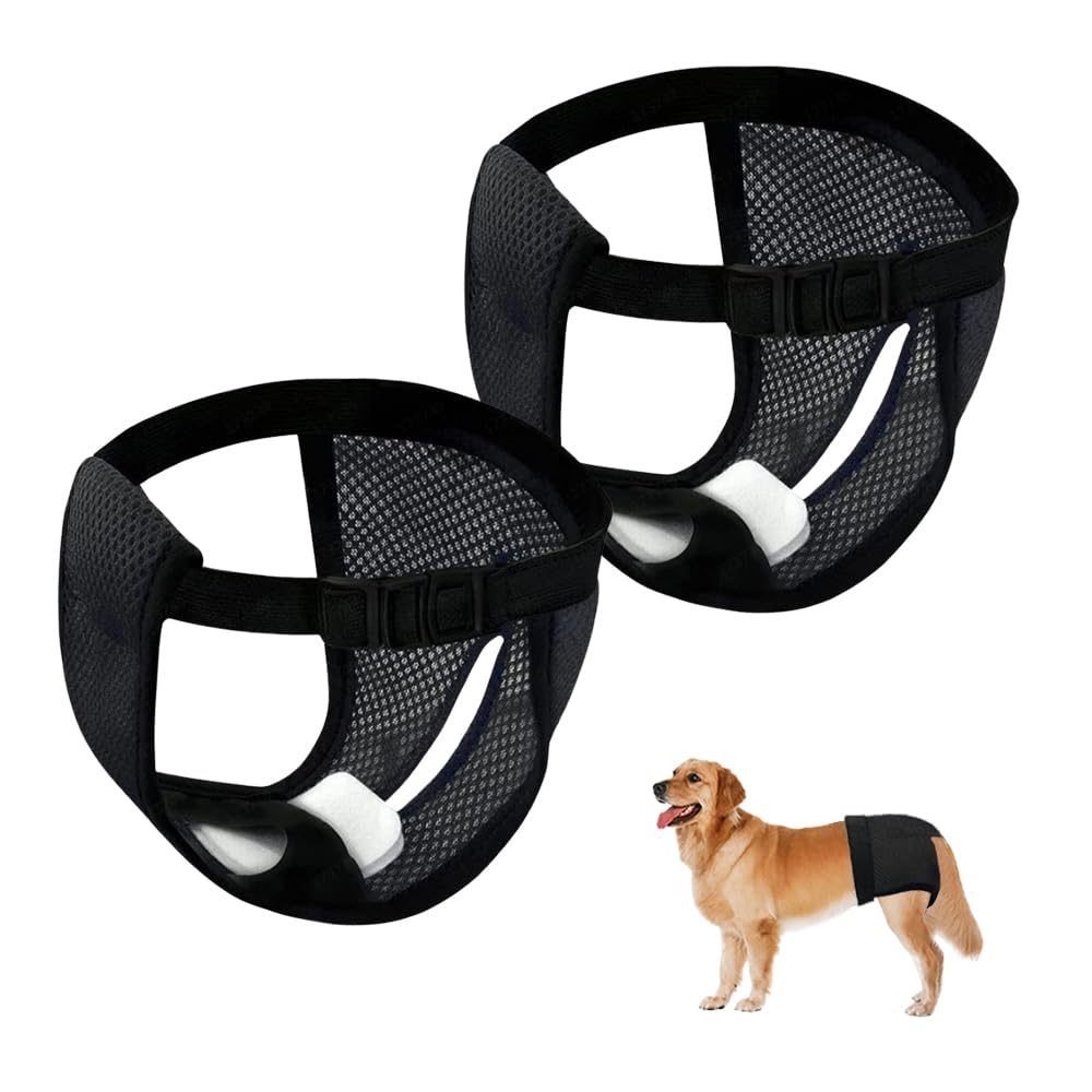 Ceihwa 2pcs Braguitas Perro Celo Hembra L Bragas Perras Menstruales Lavables Pantalones Pañales para Perros Pañales pra Perros Hembra Reutilizables Bragas Higiénicas Perros Braga Menstruación Perro
