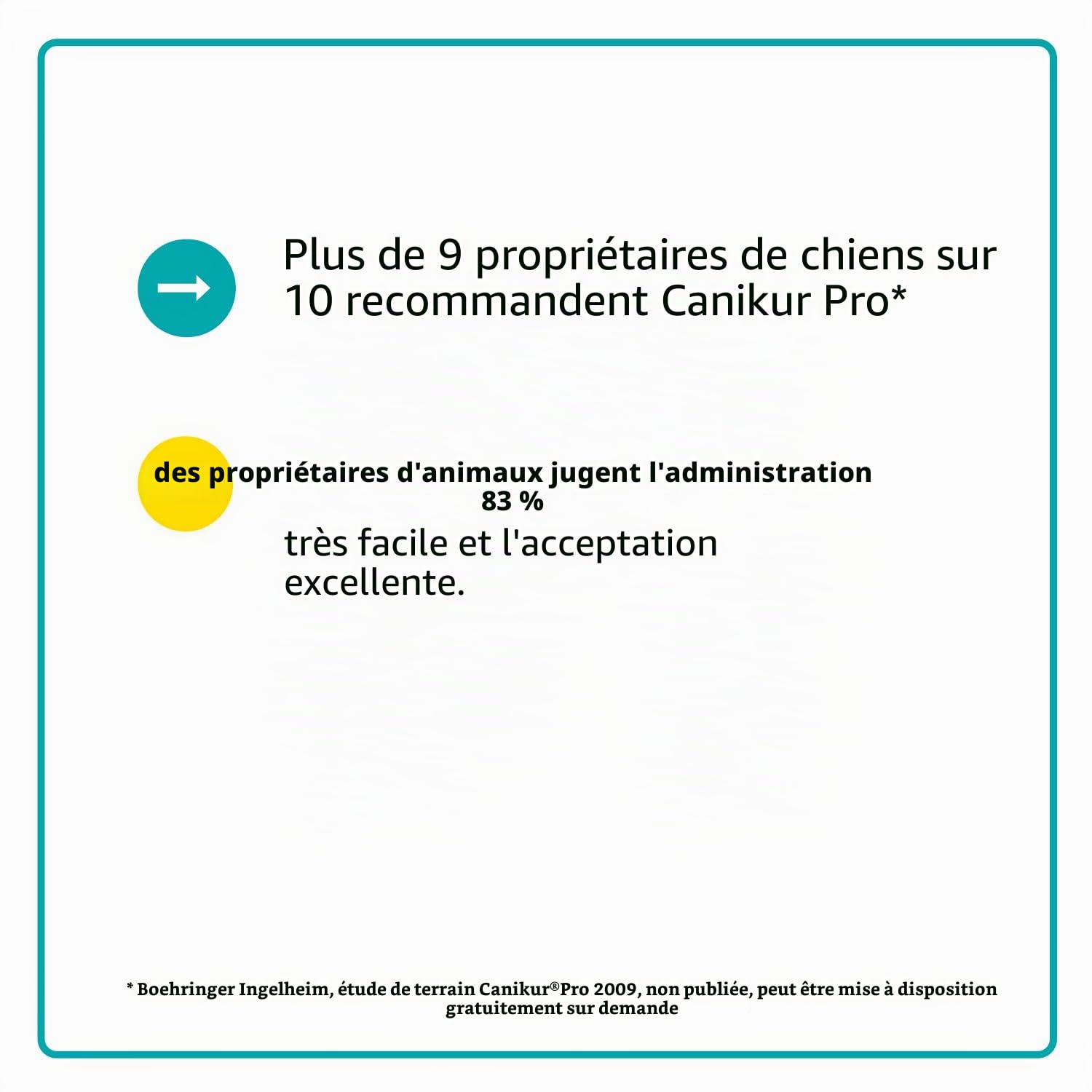 Canikur Pro Seringue à pâte Transparent 60 ML