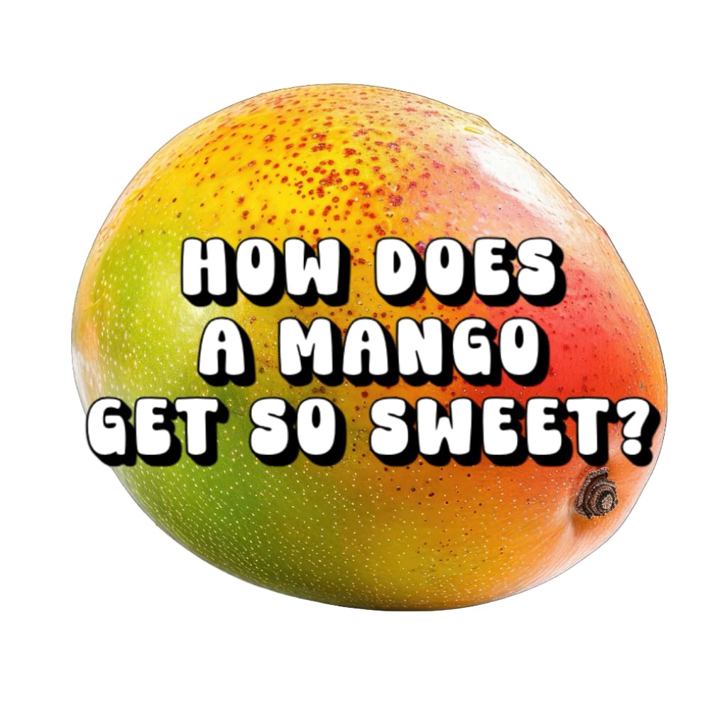 How Does a Mango Get So Sweet?