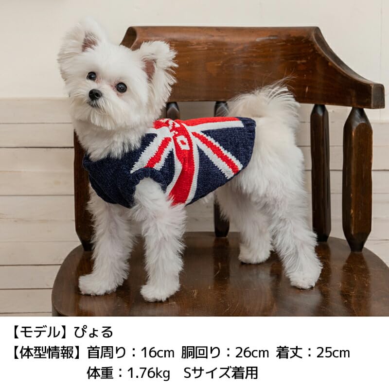 Amazon | 国旗柄ニット XL/XXL/DL/FBS/FBM/FBL D's Chat-ディーズ