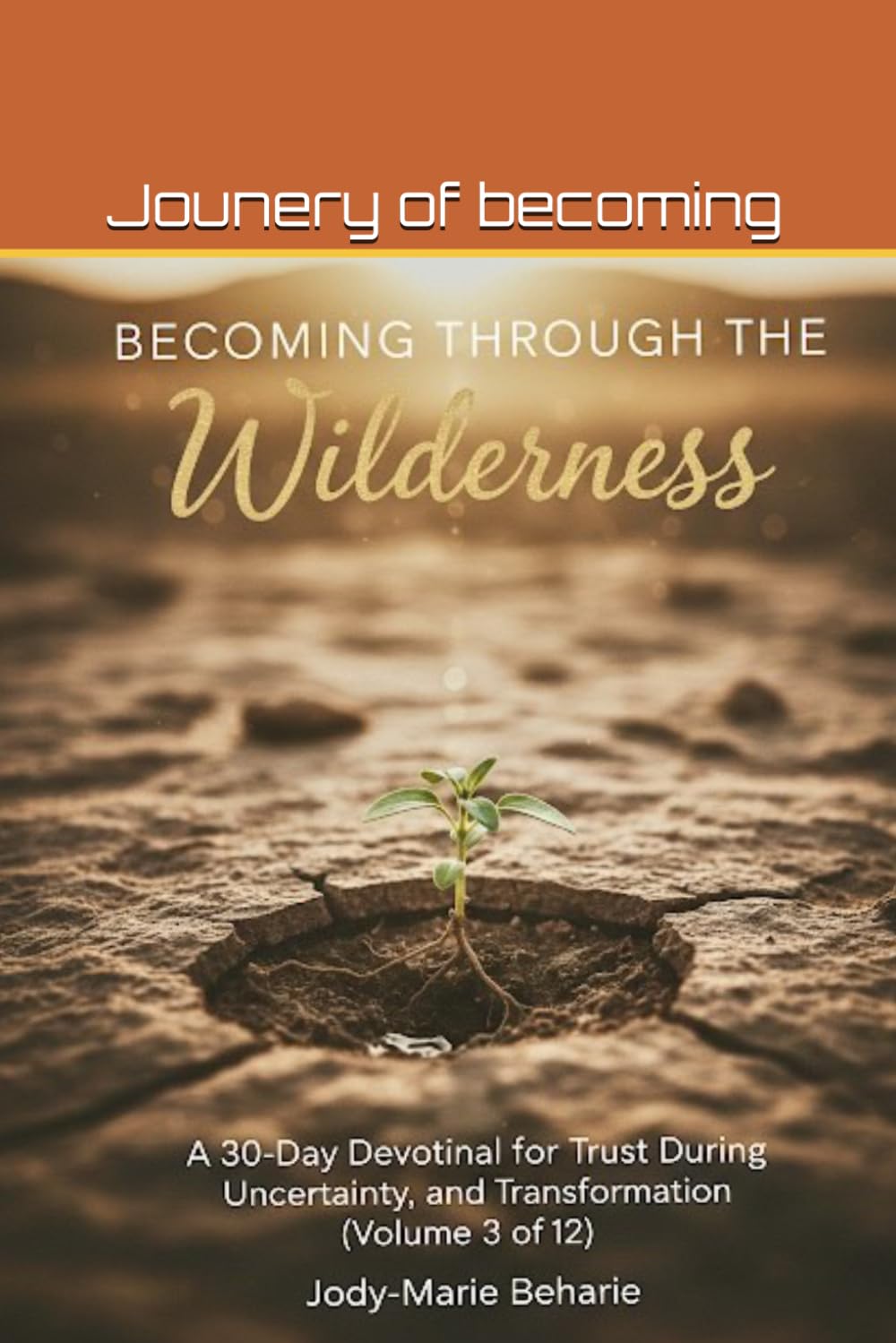 Becoming Through the Wilderness: (trust during uncertainty)