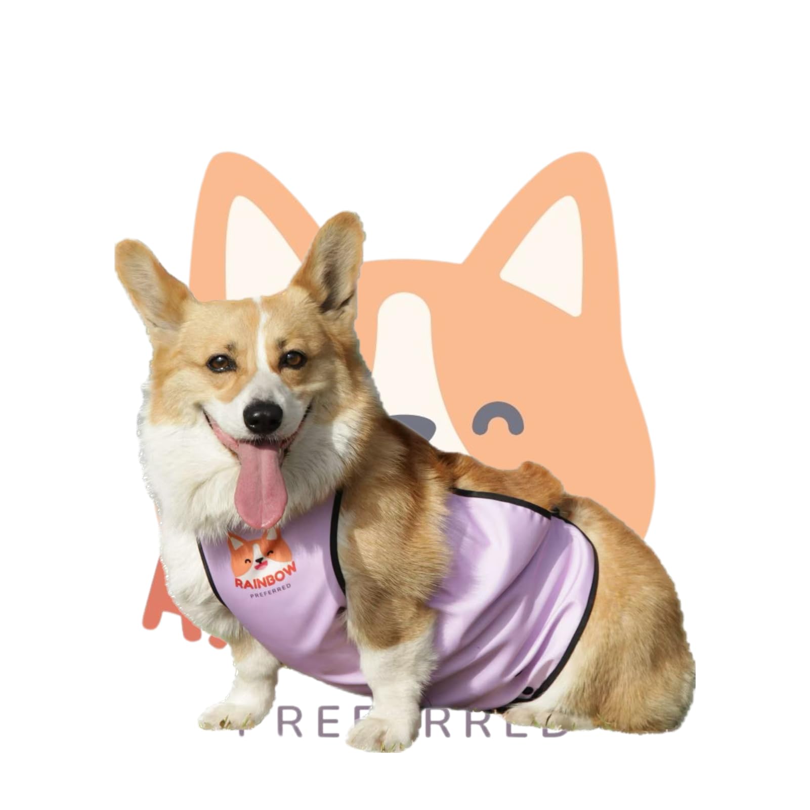 RainbowPreferred New Waterproof Dog Belly Protector Belly Cover Raincoat Rain Jacket Belly Band Recovery Suite Apron for Dog Clothes Costume