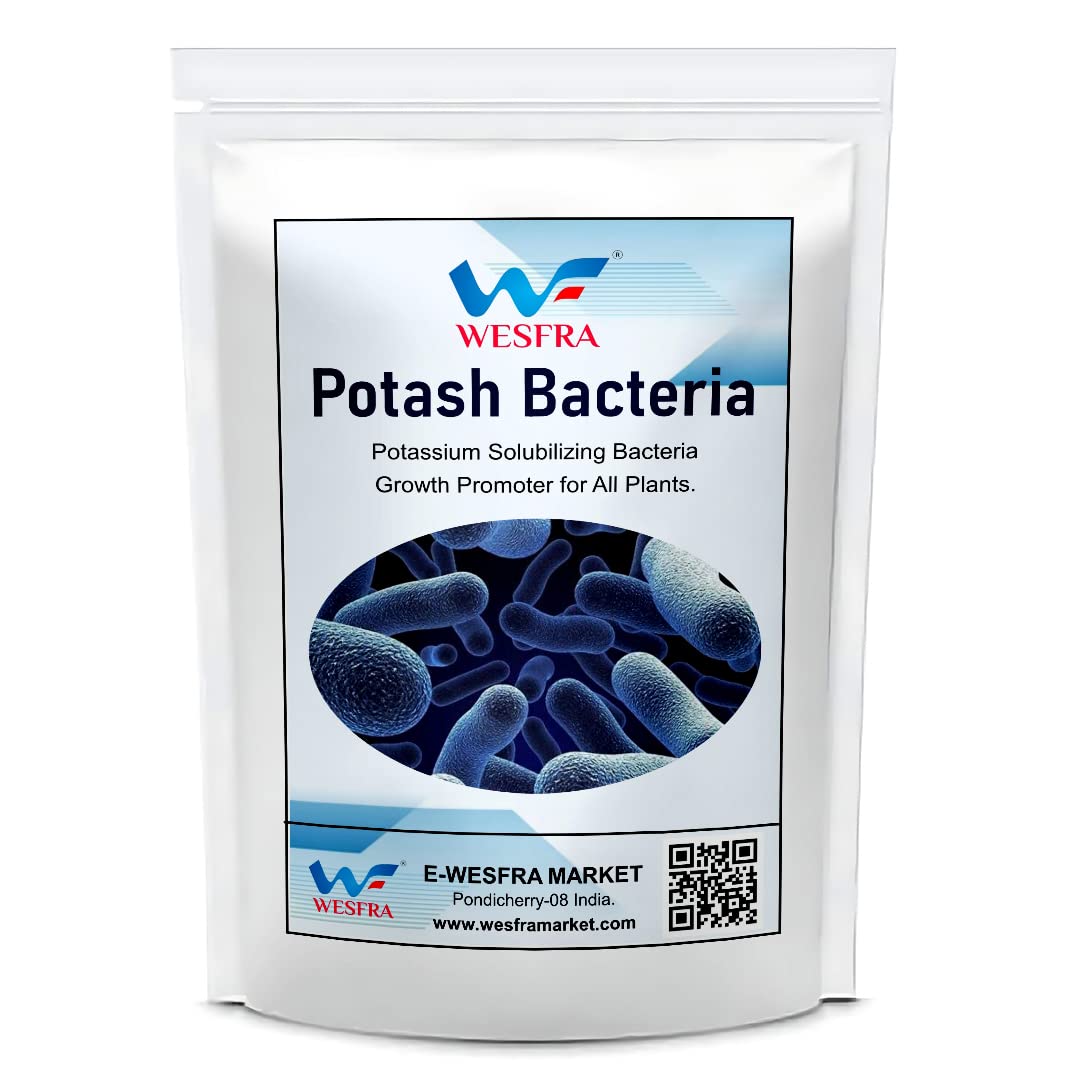 Bio Potash Bacteria Growth Promoter for All Plants | 900g Powder
