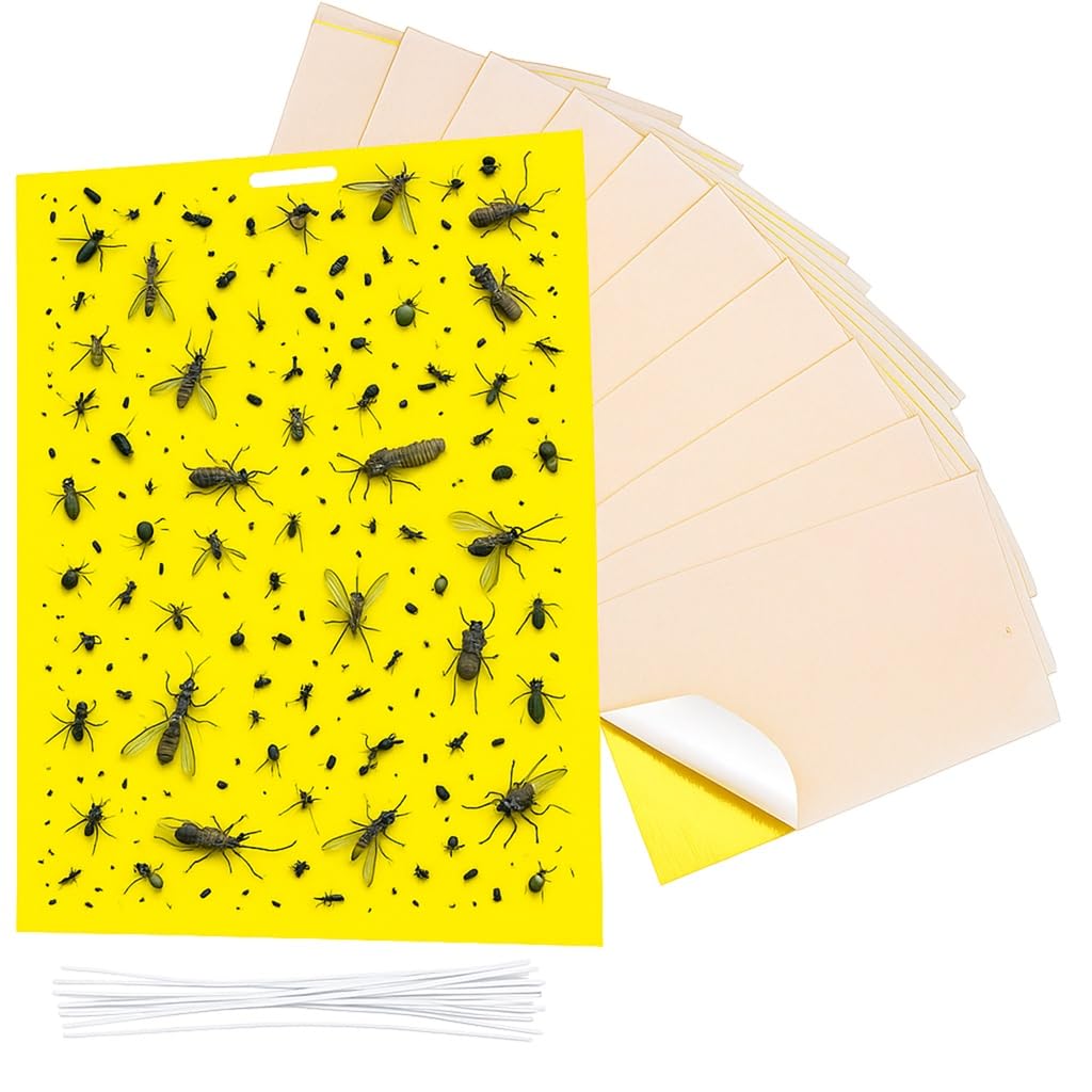 Dual-Sided Yellow Sticky Traps Paper For Flying Plant Insect Killer, Bug Mosquito Insects Pest Catcher Size 16 x 25CM (5-PACK)