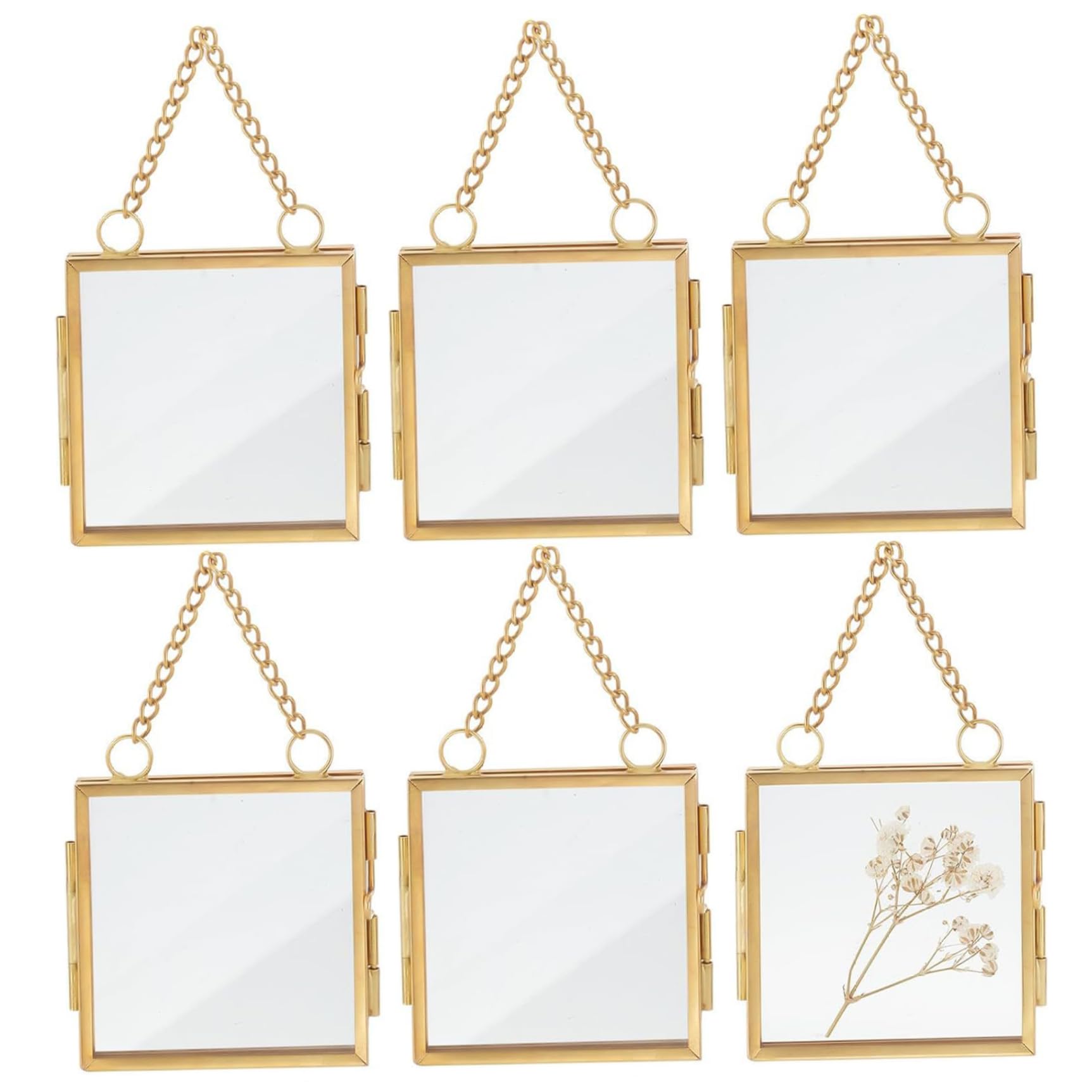 Décoration murale maison avec ce cadre de fleurs pressées en verre flottant pour salon