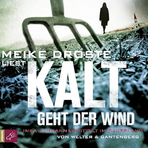 Kalt geht der Wind Audiolivro Por Oliver Welter, Michael Gantenberg capa