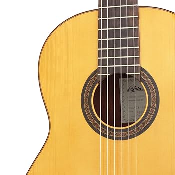 Amazon | ARIA アリア クラシックギター ACE-5S Spr