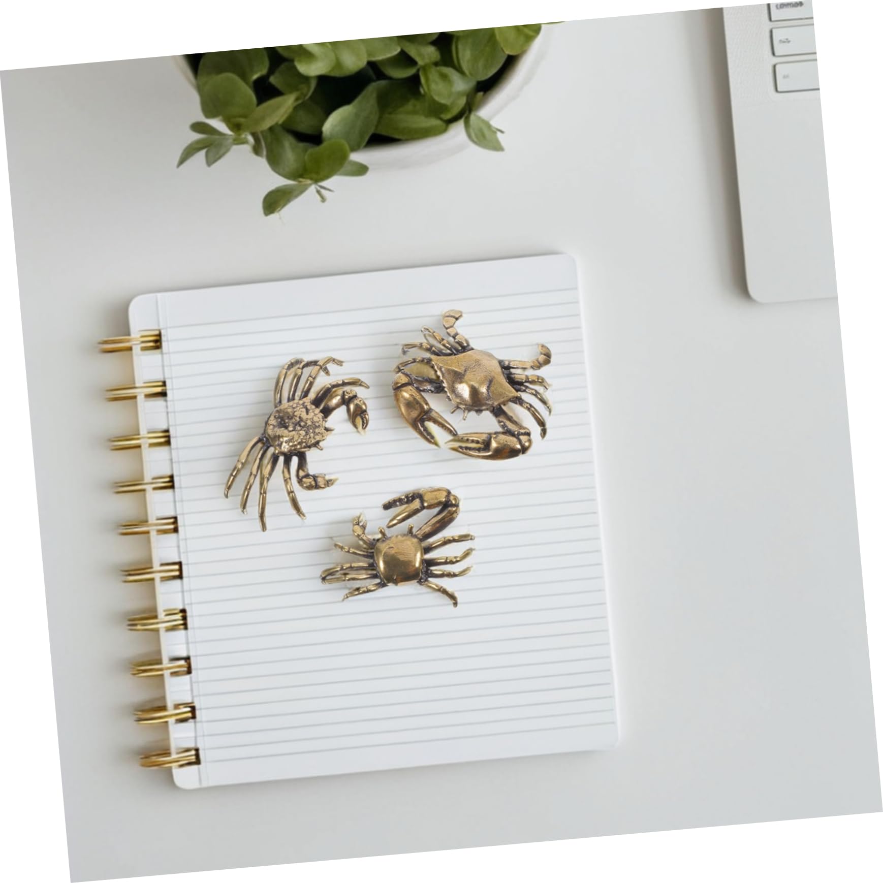 真鍮製 カニ 置物 3個セット ミニチュア Amazon.co.jp: FUNOMOCYA 真鍮製の小さなカニの彫刻 3個セット