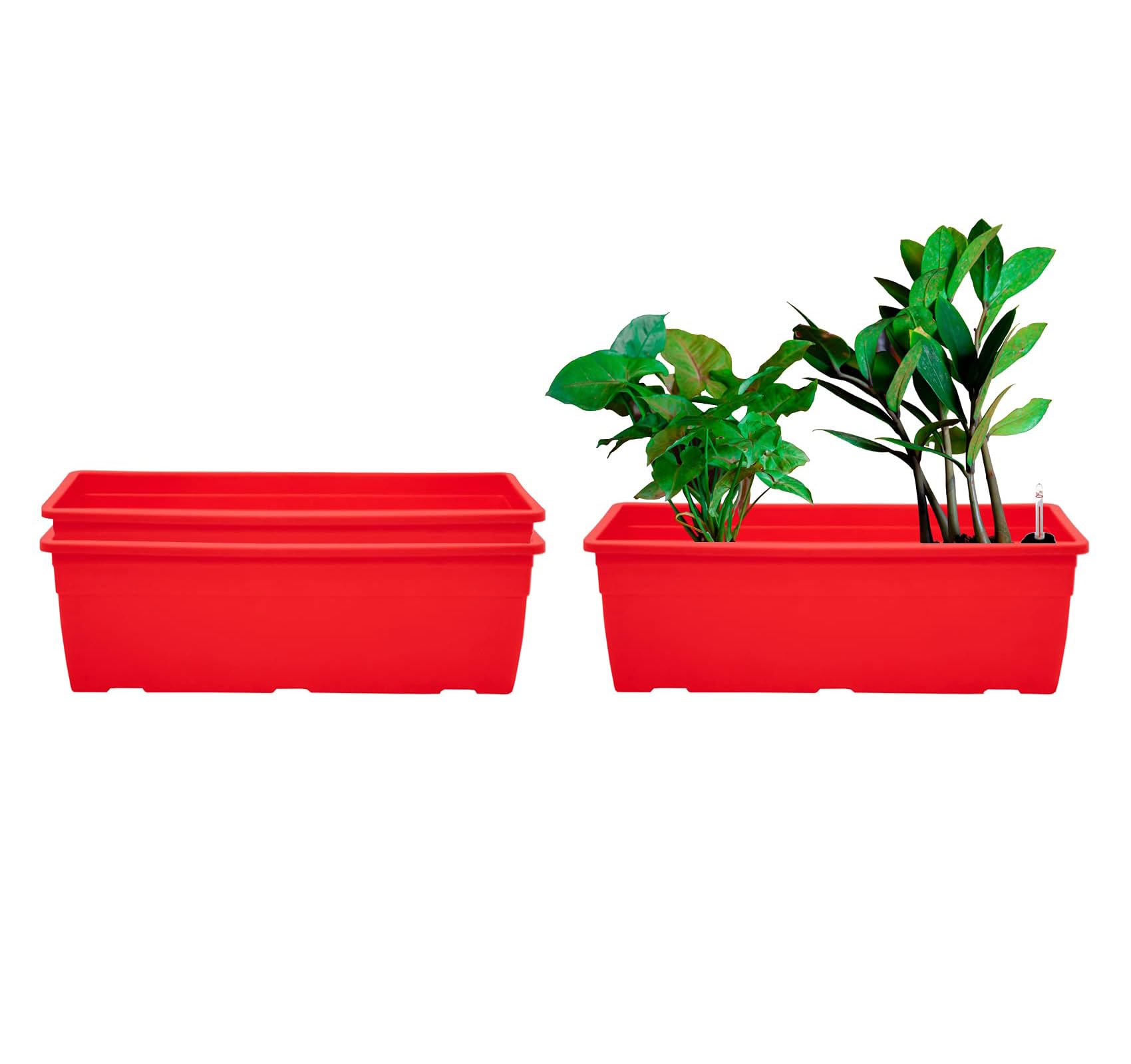 See full amazon price history chart for garbnoire Rectangular Plastic Pot with Self Watering Kit for Plants,16 Inch Flower Pot for Home, Window Display, Office, Garden (3, Red) garbnoire Rectangular Plastic Pot with Self Watering Kit for Plants,16 Inch Flower Pot for Home, Window Display, Office, Garden (3, Red) (B09CQ52G2R) Amazon Price History, Amazon Price Tracker