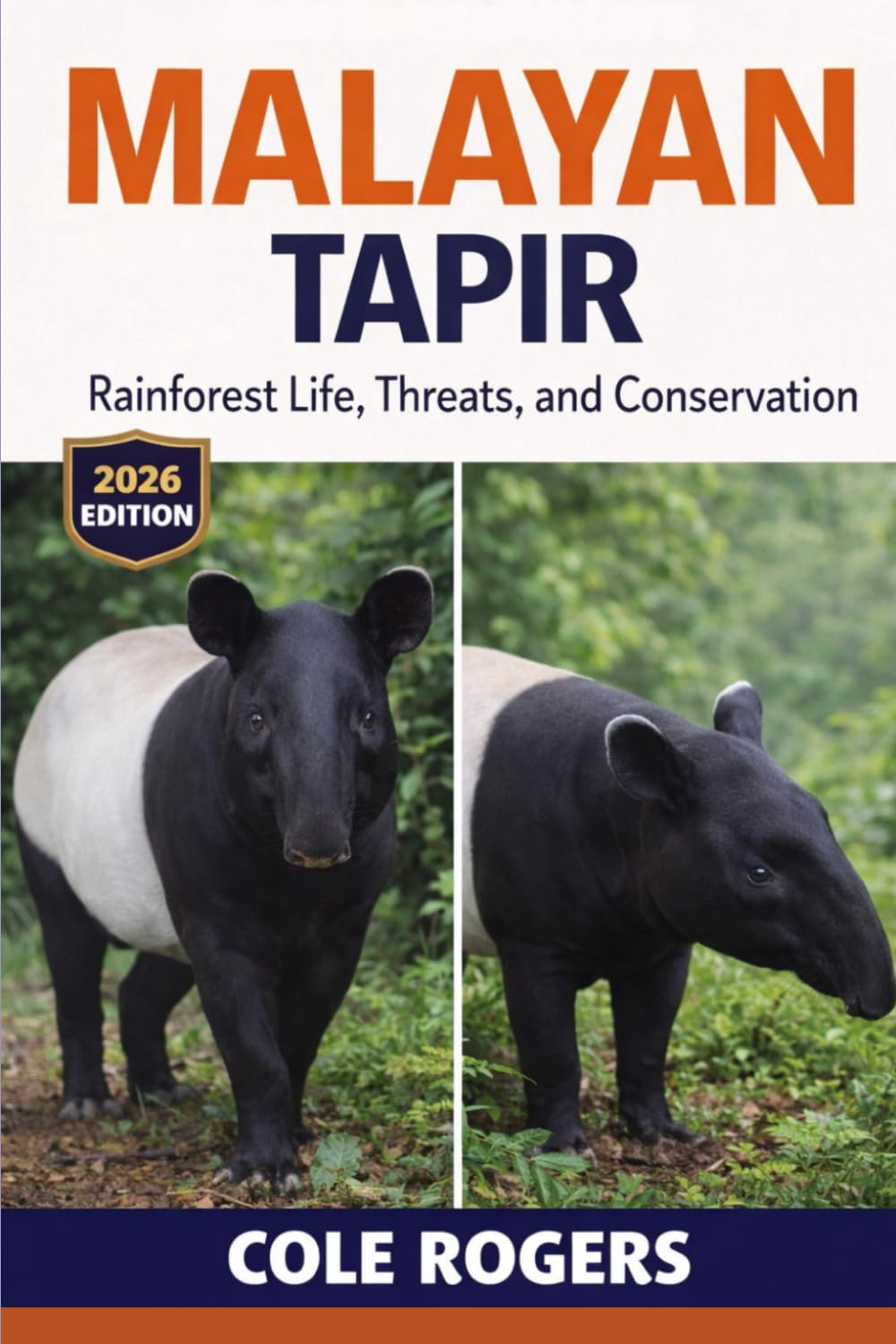 MALAYAN TAPIR: Rainforest Life, Threats, and Conservation