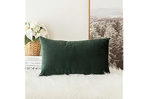 MIULEE Rectangle Soft Velvet Solid Throw Pillow Cover for Sofa, Spring, Bedroom, Car