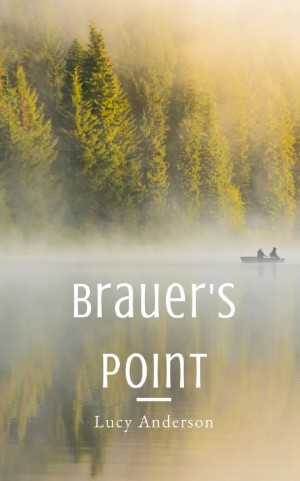 Brauer's Point