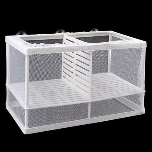1Pcs Fish Breeding Box Aquarium with Suction Cups, Small Fry Hatchery Net Fish Nursery Isolation Box, Incubator Boxes for Baby Fishes Guppy Shrimp(26 * 15 * 15cm) (Large with clapboard)