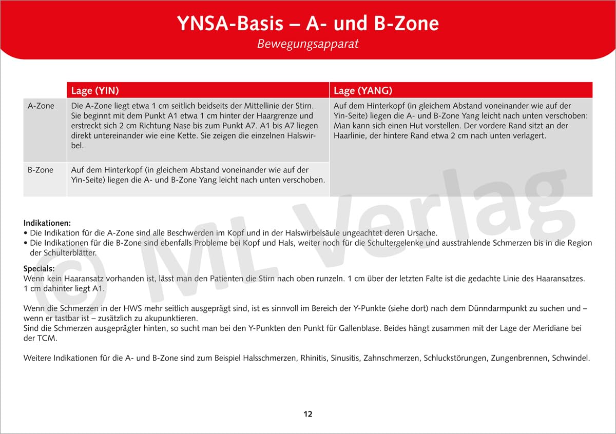 Schädelakupunktur nach Yamamoto (YNSA): Kartenset für die Praxis