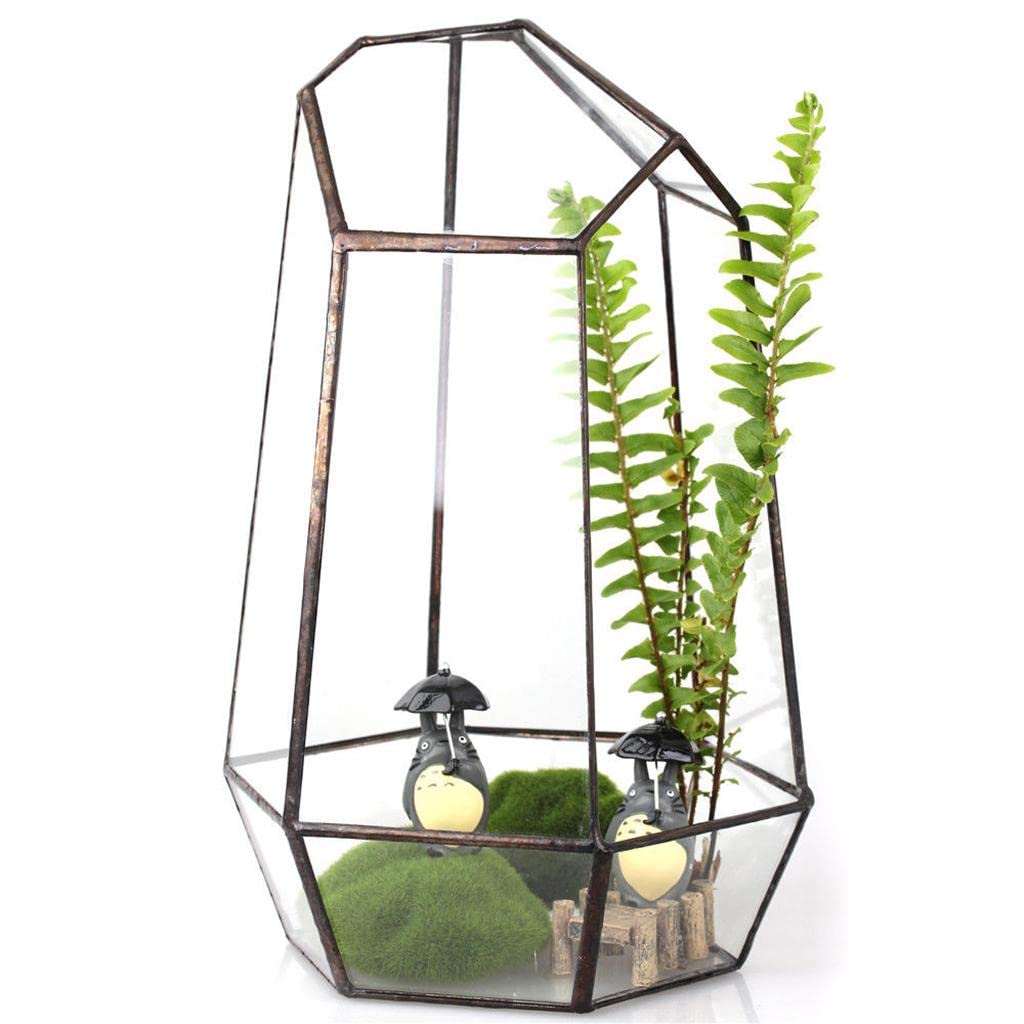 B Baosity Terrarium Géométrique Irrégulier pour Plantes Succulentes - Décoration Intérieure, Cuivre 6, 12 x 12 x 19cm