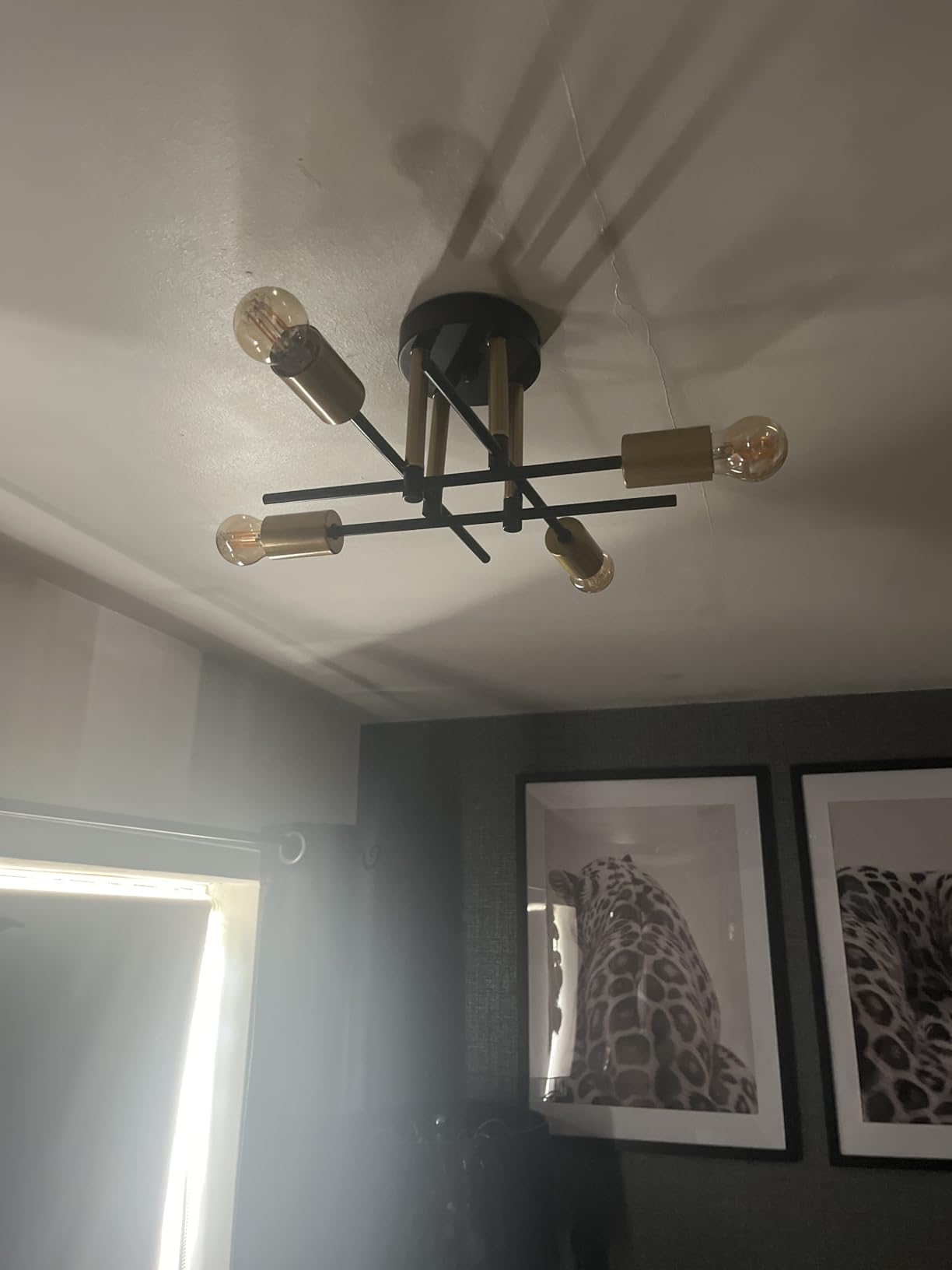 Customer photo