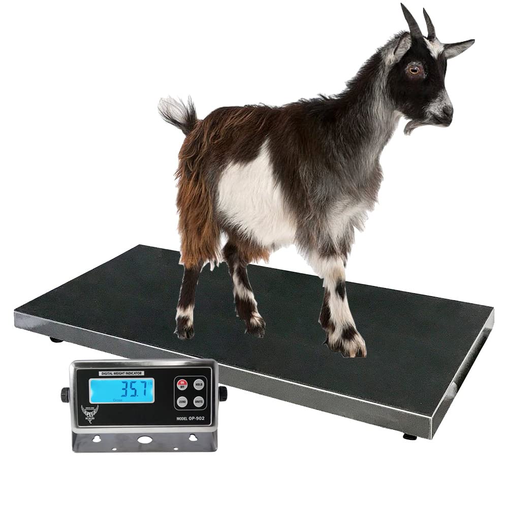 Postal Scales PEC Large Platform Weighing Scales Vet Animal Livestock